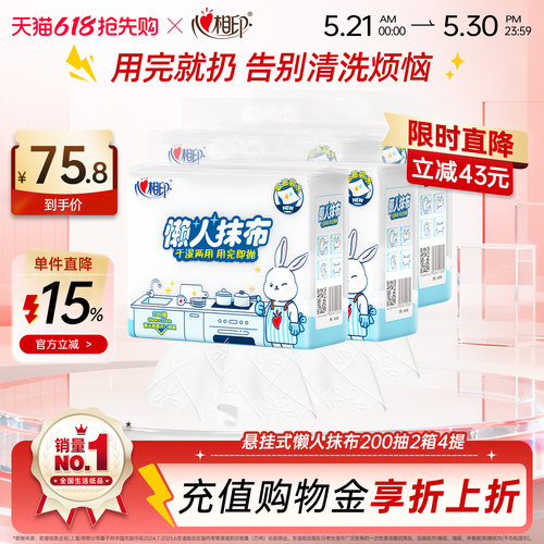 心相印悬挂式懒人抹布4提