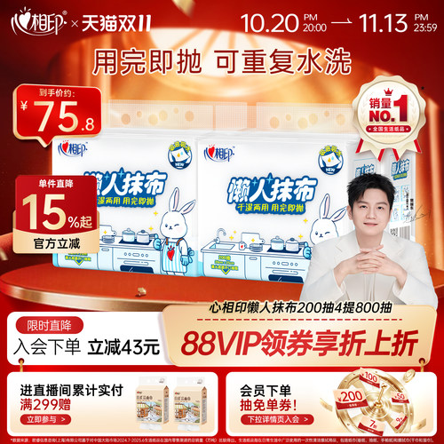 心相印悬挂式懒人抹布4提