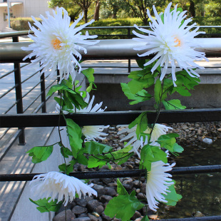 仿真花菊花藤假花链藤条藤蔓祭祀扫墓花上坟祭祖花墓碑挂壁塑料花