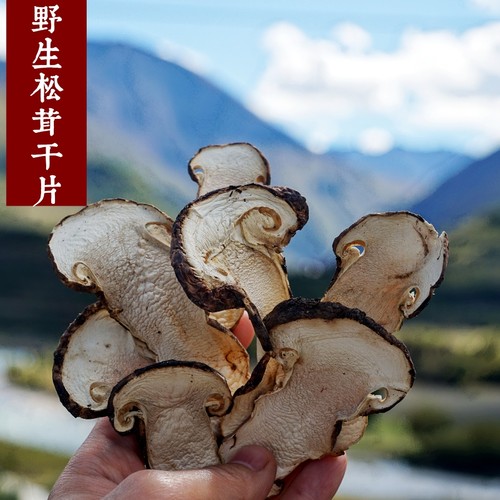 松茸干片精品未开伞嫩苞带皮