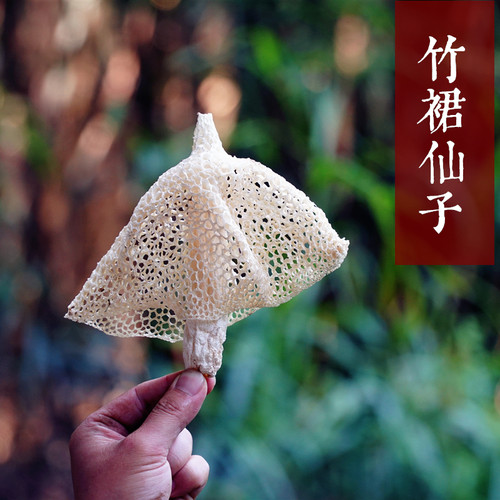 天然竹荪全身可吃竹荪菌煲汤鲜美
