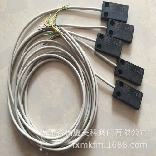 现货elobau磁性开关171271A0E 161271AY 30420000V 30426112SS