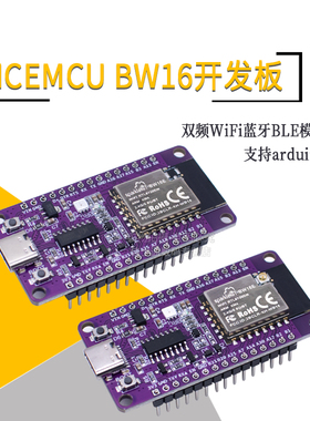 BW16E开发板 RTL8720DN 双频WiFi蓝牙BLE模块NICEMCU 支持arduino