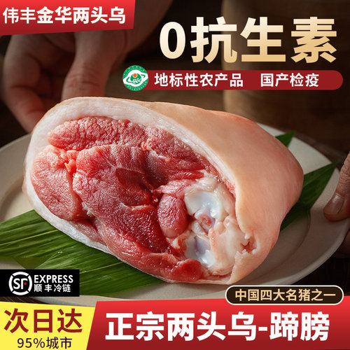 伟丰金华两头乌新鲜500g猪蹄膀