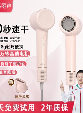 LINGS/零声高速吹风机负离子恒温