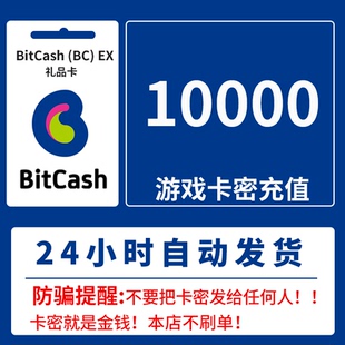 礼品券 10000点 BitCash 充值卡 自动发卡