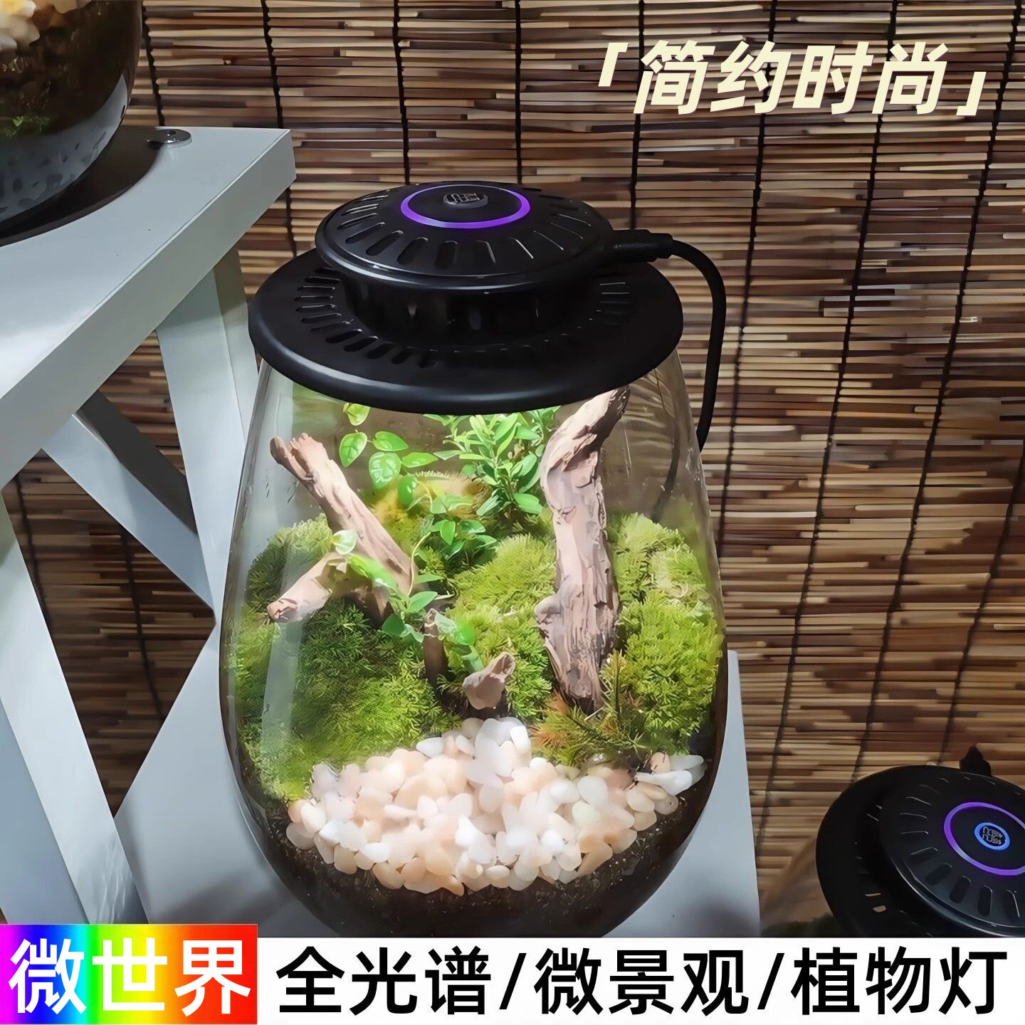 煌瑞源微景观补光灯苔藓灯态瓶灯