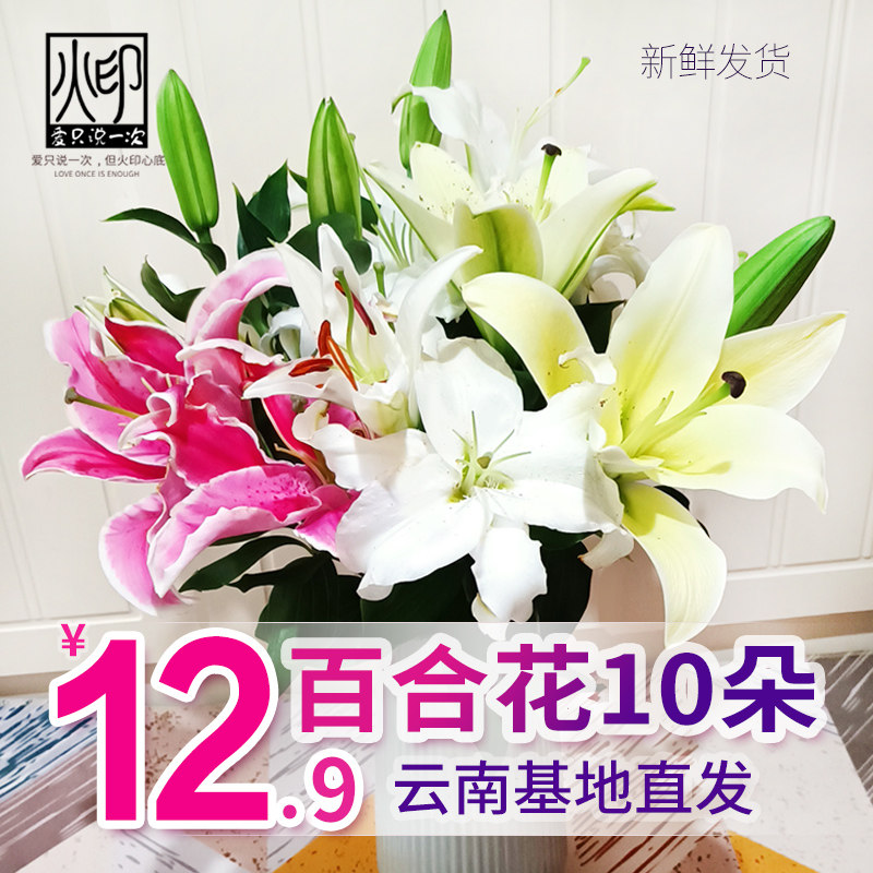 香水百合花鲜花云南直发基地直批鲜切花水养小雏菊向日葵尤加利