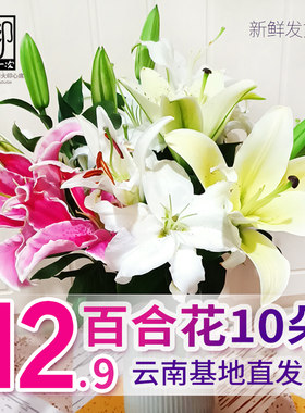 百合鲜花云南昆明基地直发
