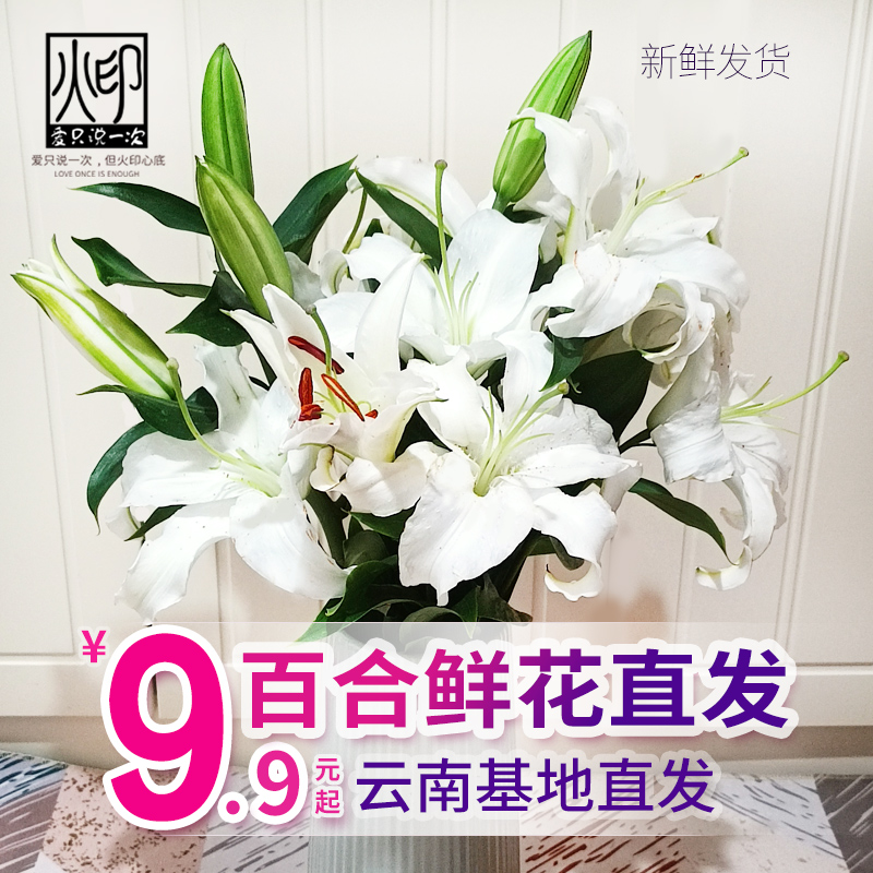 香水百合花鲜花云南昆明基地直发批鲜切家用水养插花同城速递生日-封面