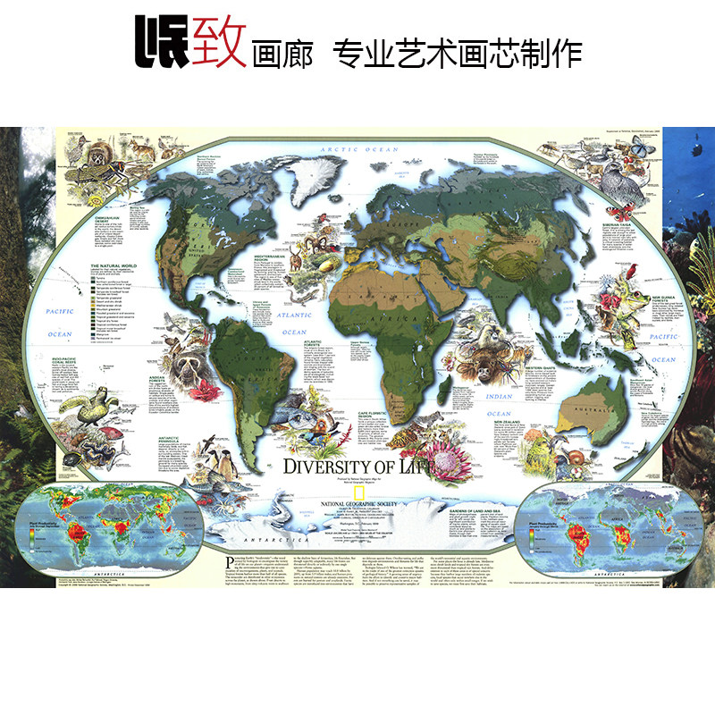 生命的多样性国家地理科普海报