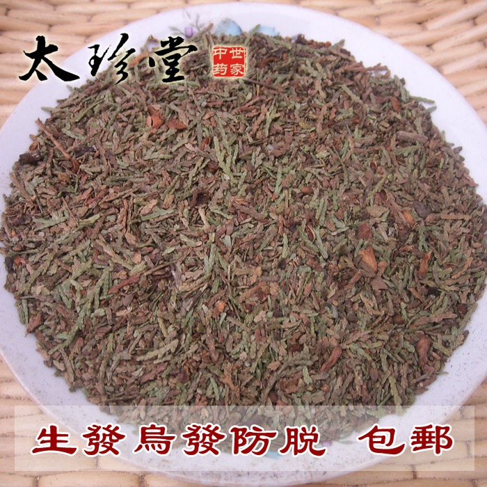 纯野生侧柏叶500g 百年老树 新鲜晒干