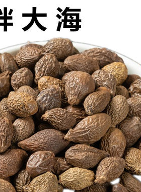 胖大海50克中药材泡茶果新货另售菊花金银花陈皮罗汉果麦冬甘草茶