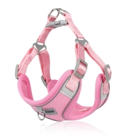 Персиковой розовый (беспроводной)