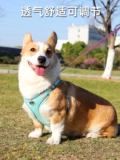 Веревка для подтяжки собаки, маленькая и средняя собака Corki Shiba Inu Ходящая собака веревка может отрегулировать цепь для домашних собак для грудного ремешка
