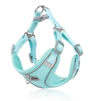 Мятный зеленый (безрассудный)