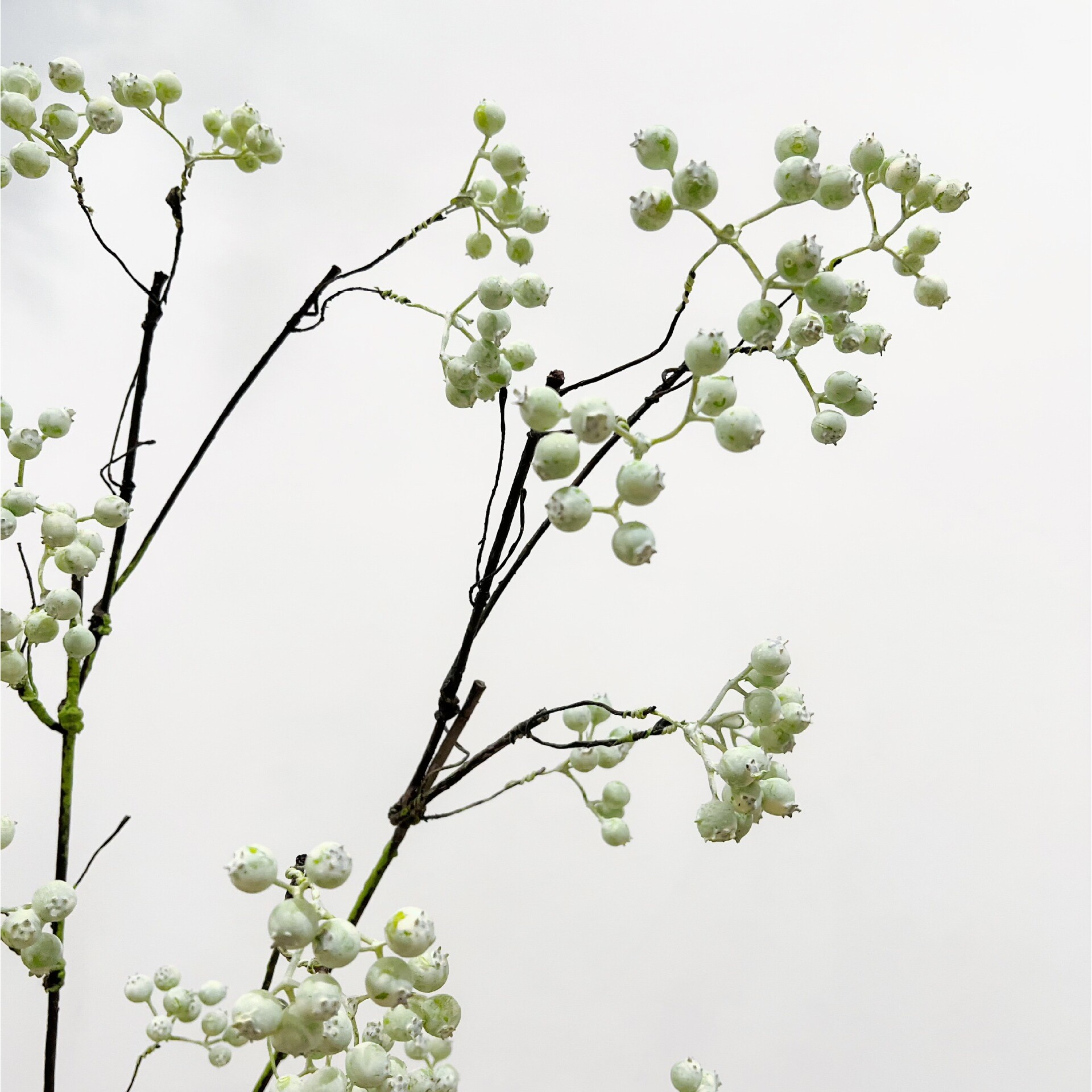 仿真浆果白绿色山野归来马桑果山归来仿真花摄影道具婚庆花艺装饰