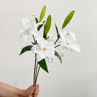含阳 仿真百合花重瓣仿真花兰花手感花 家居婚庆装饰插花配材