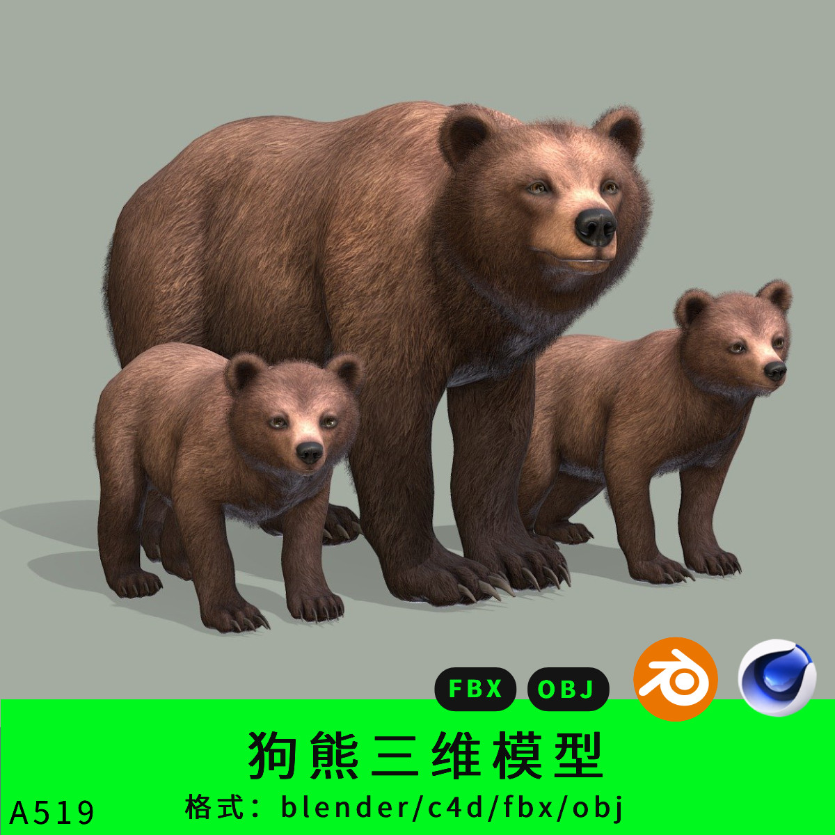 狗熊三维模型3d素材blender/c4d/fbx/obj黑熊写实动物小熊