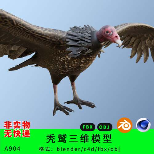 秃鹫三维模型3d素材blender/c4d/fbx/obj鸟类野生动物飞禽
