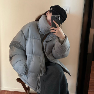 新国标立领羽绒服加厚白鸭绒外套 新款 元 派bluepops2025冬季