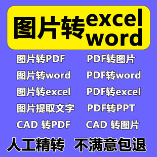 打字提取文字录入表格word扫描件文件人工图照片pdf转换格式excel