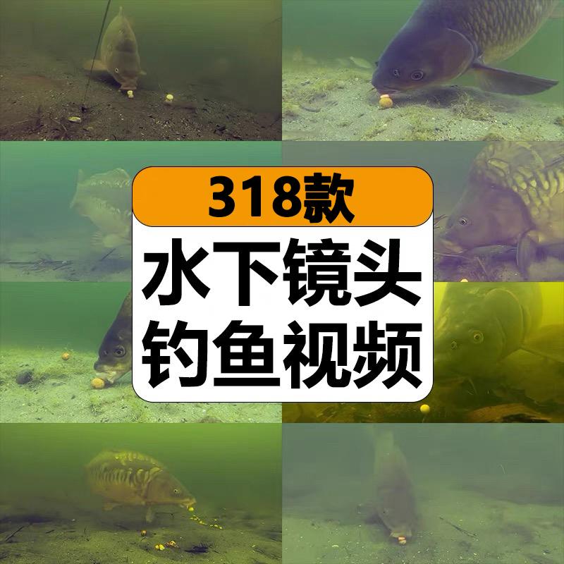 国外水底镜头拍摄钓鱼捕鱼水下鱼饵上钩高清解压视频小说推文素材