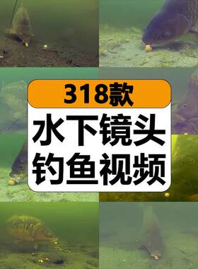 国外水底镜头拍摄钓鱼捕鱼水下鱼饵上钩高清解压视频小说推文素材