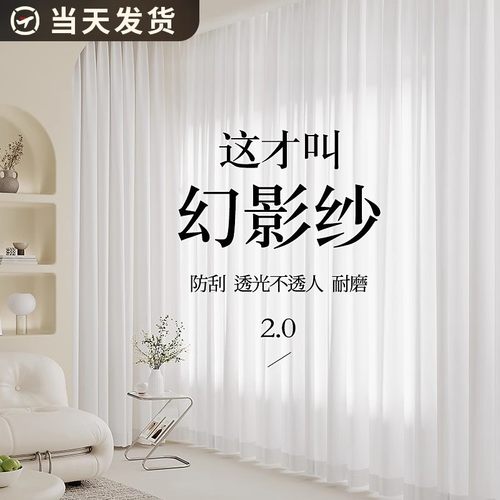 2024新款透光不透人客厅窗帘白纱