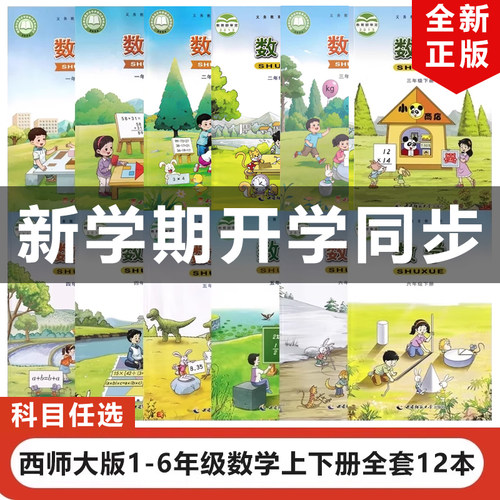 正版包邮2023适用小学西师大版