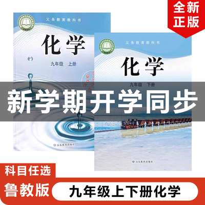 2025鲁教版九年级上下册化学