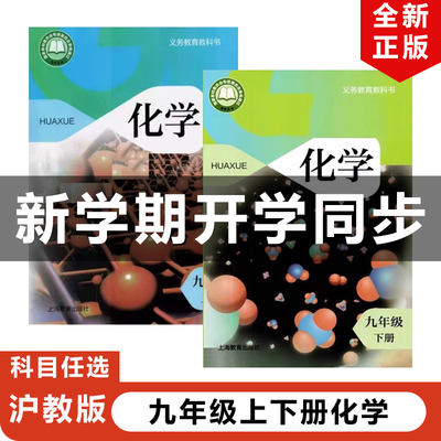 2025沪教版九年级上下册化学