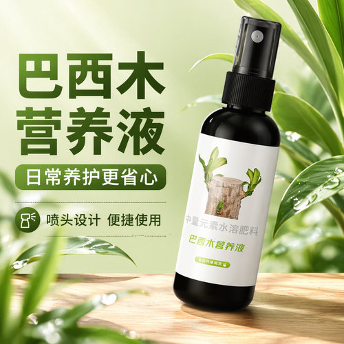 巴西木幸运木专用营养液免稀释