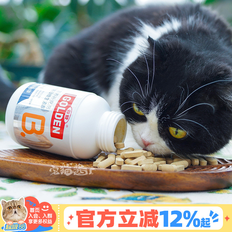 谷登猫咪维生素b营养补充片剂