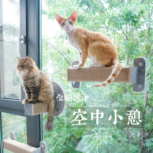 JOYCAT吸盘猫爬架抓柱透明