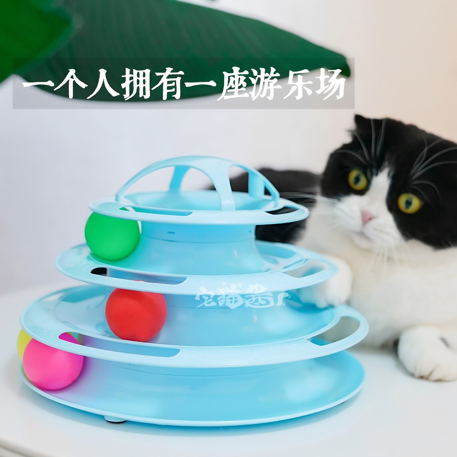 宅猫酱 猫玩具转盘四层游乐盘逗猫用品益智休闲自动逗猫球逗猫棒图片