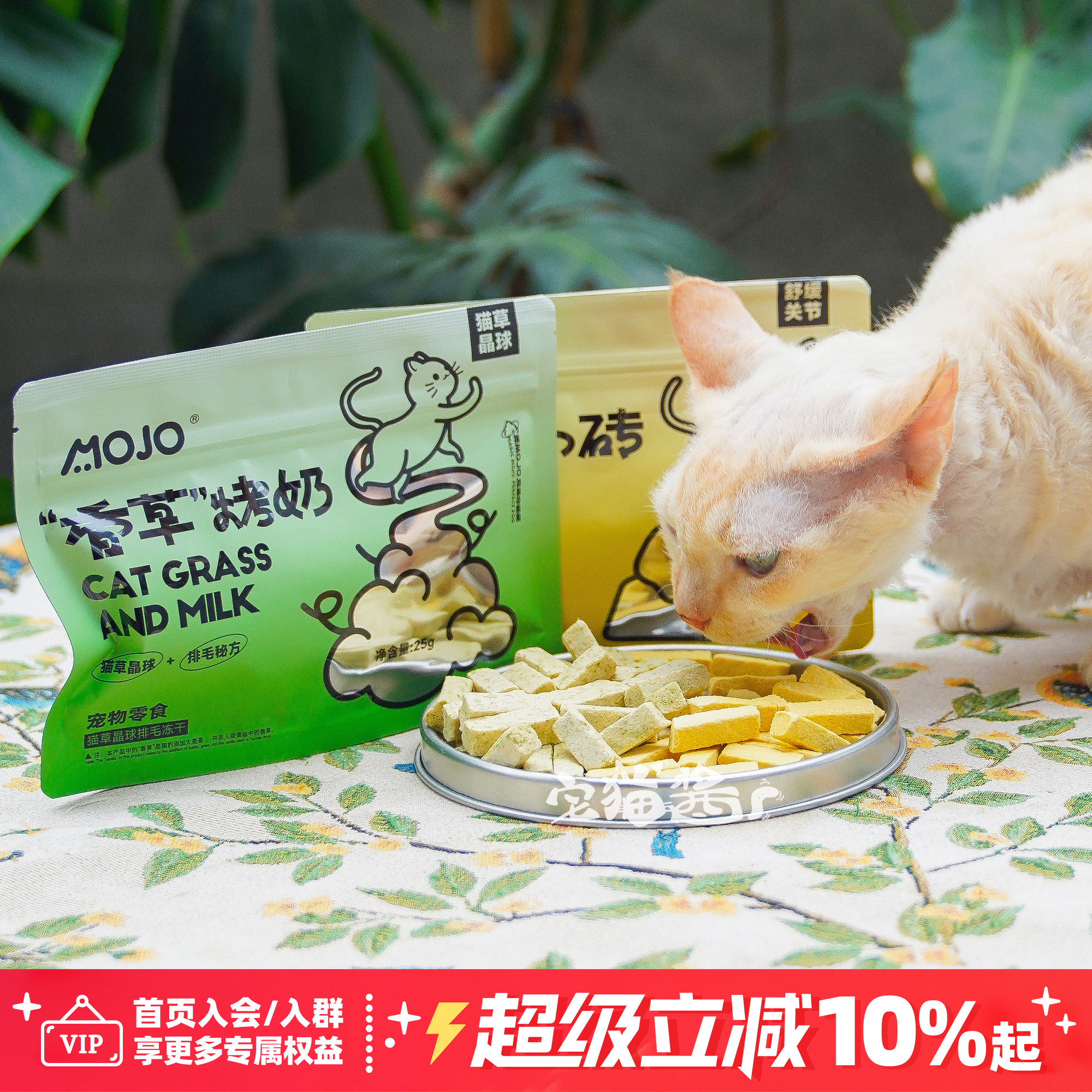 MOJO魔球姜黄香草烤奶冻干猫零食