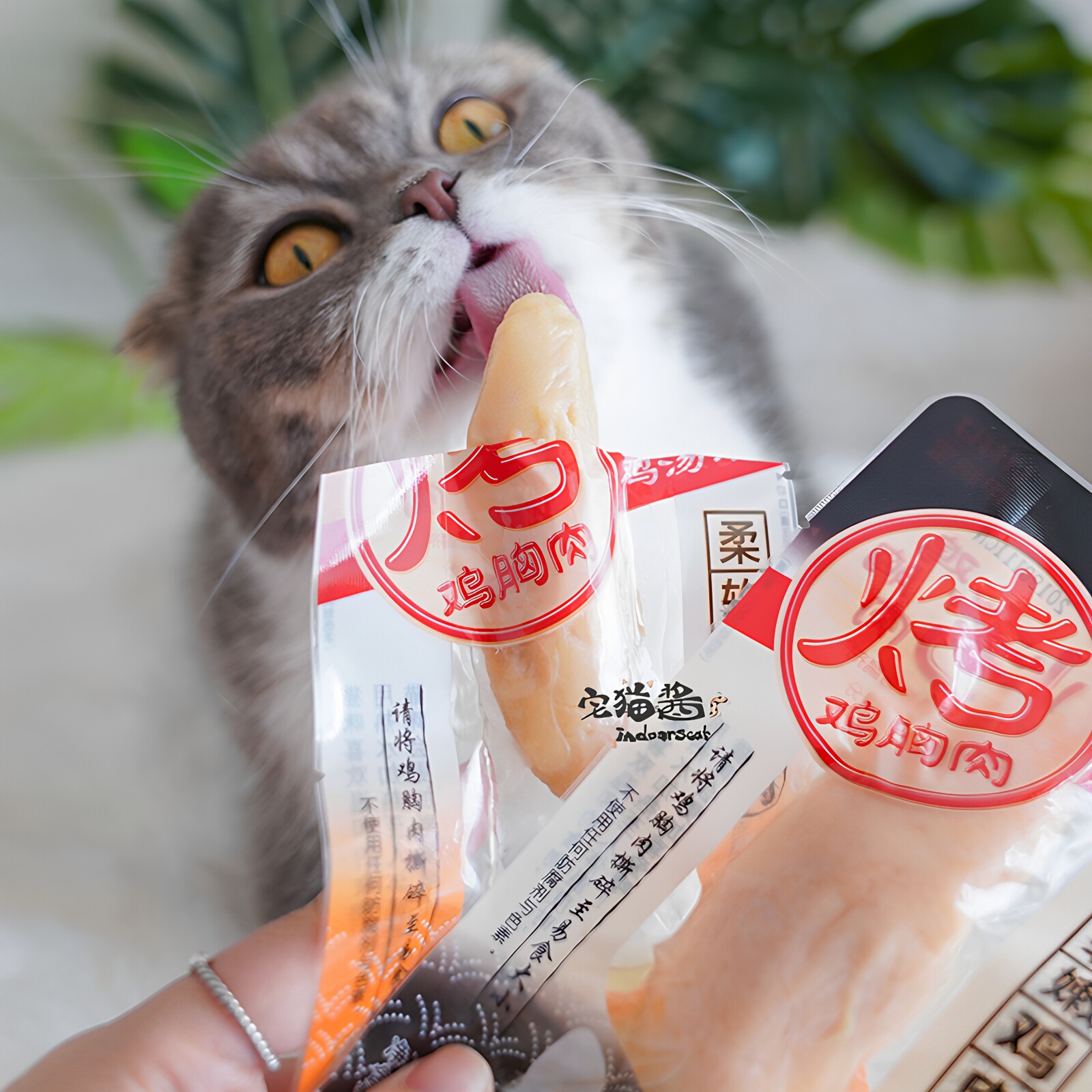 伊纳宝烤鸡胸肉猫零食图片