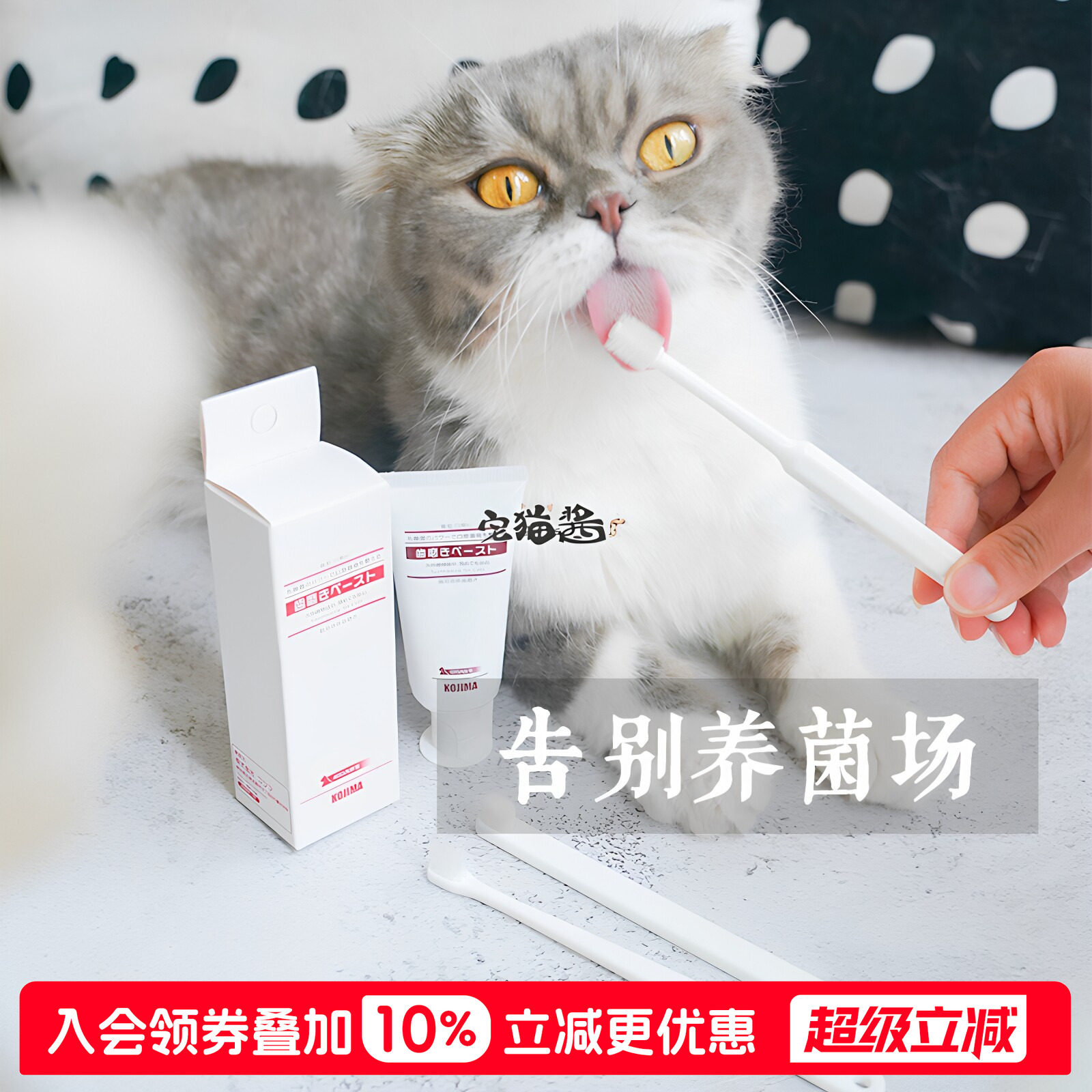 宅猫KOJIMA口腔清洁牙刷360度图片