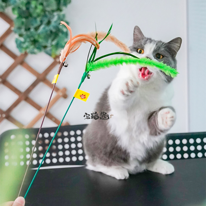 狗尾巴草宠物互动羽毛逗猫棒