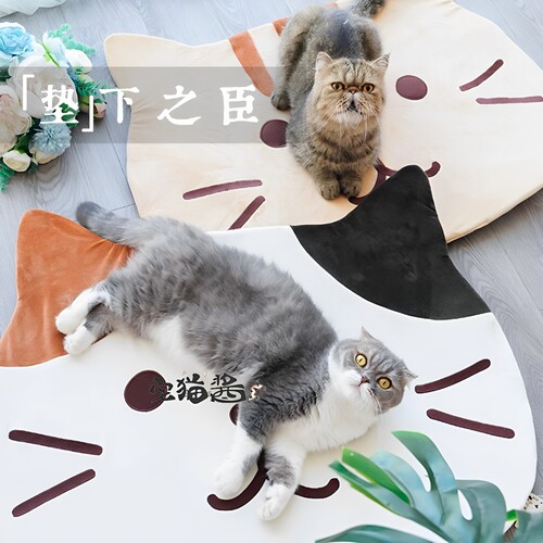 宅猫酱 主奴皆宜猫脸卡通地垫卧室客厅垫子脚垫浴室卫生间防滑垫 - 封面