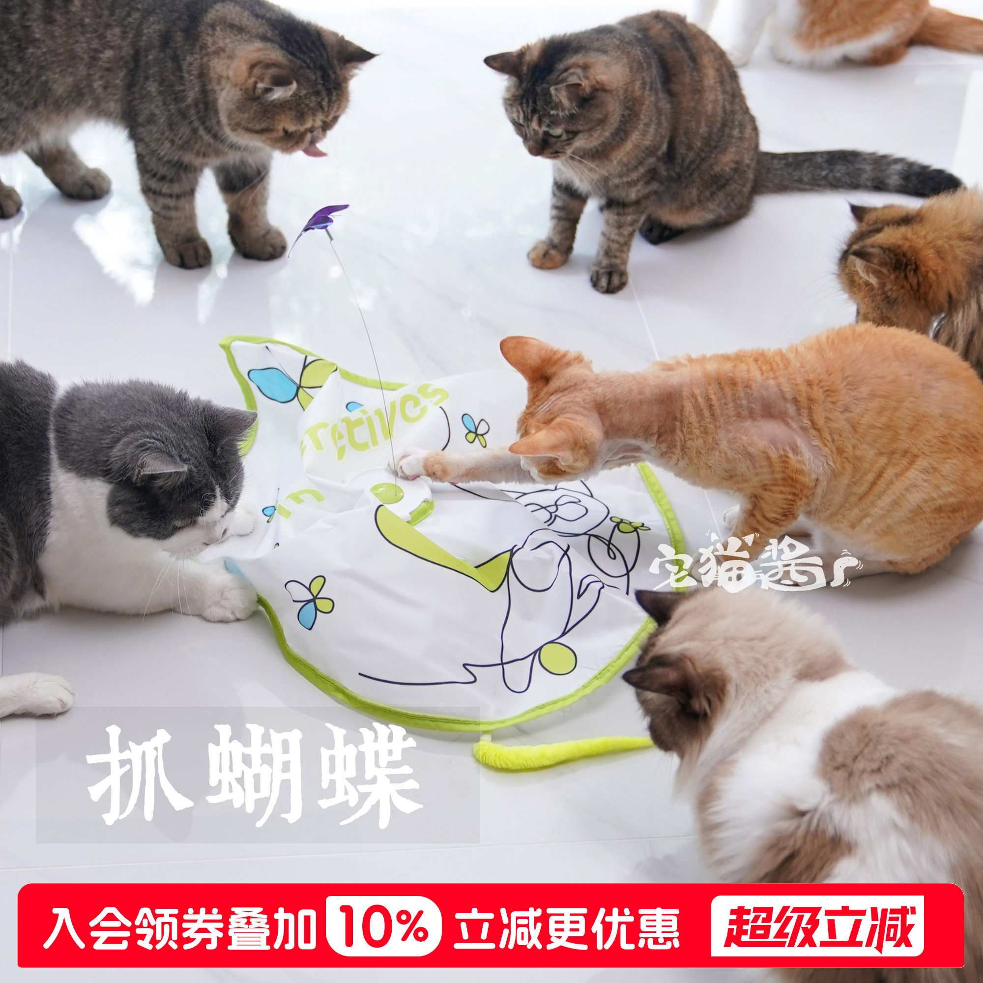 afp电动解闷自嗨蝴蝶飞飞逗猫棒图片