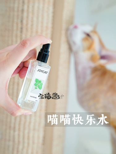 Дом кошачий соус joycat meow счастливая вода мята