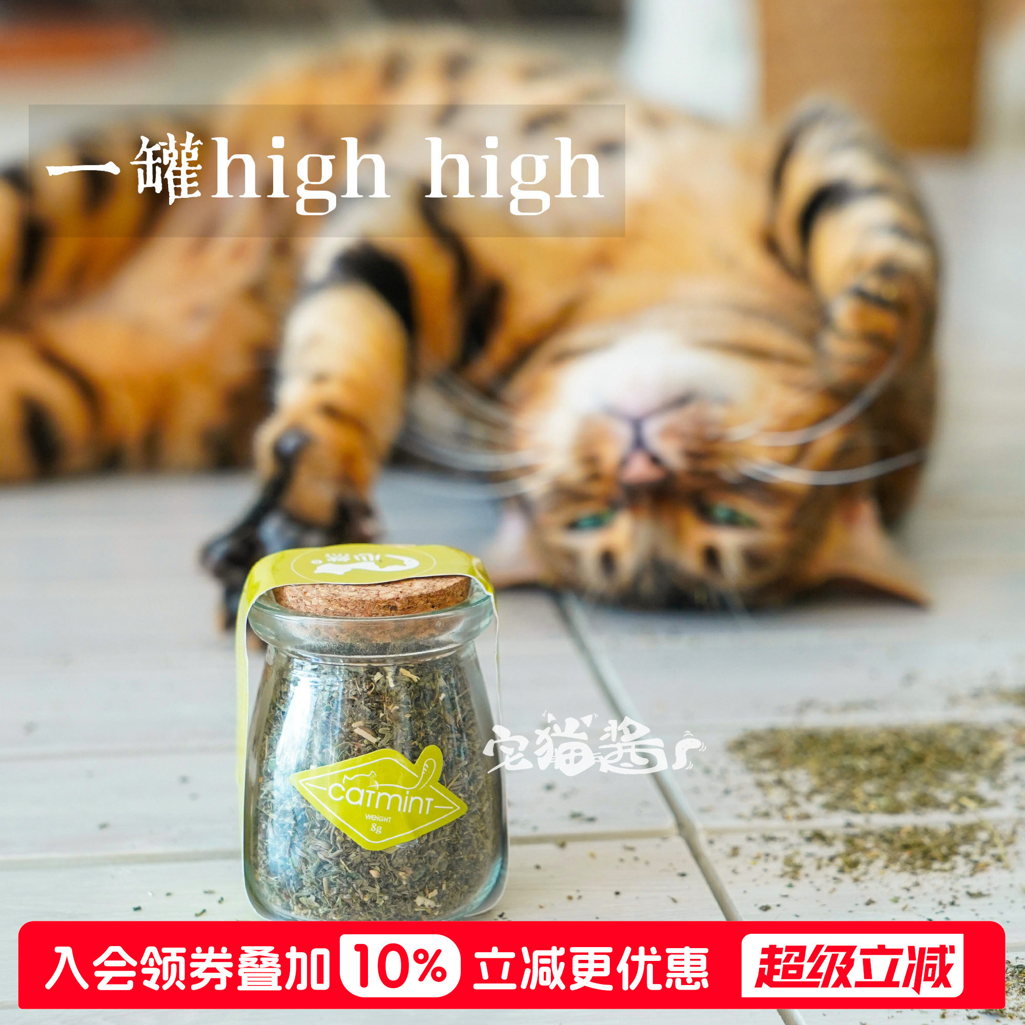宅猫酱 心然罐装猫薄荷猫草猫咪木天蓼零食去毛球调节肠胃8g
