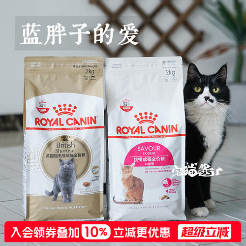 皇家猫粮BS34英短成猫粮