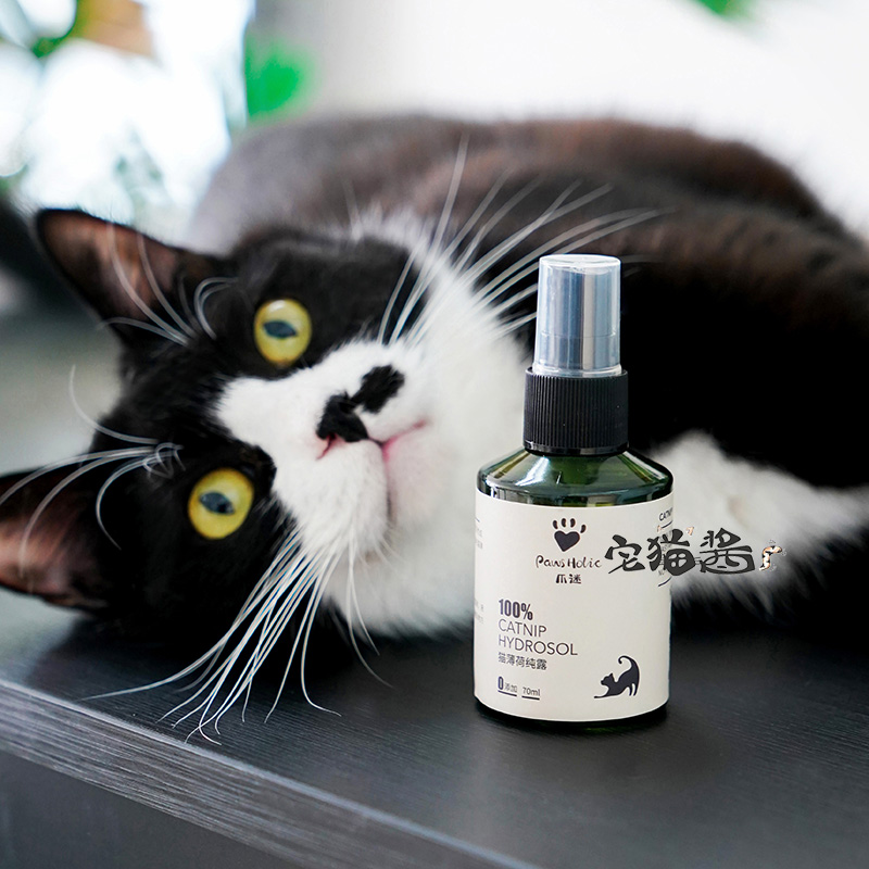 爪迷猫薄荷纯露舒缓情绪喷雾