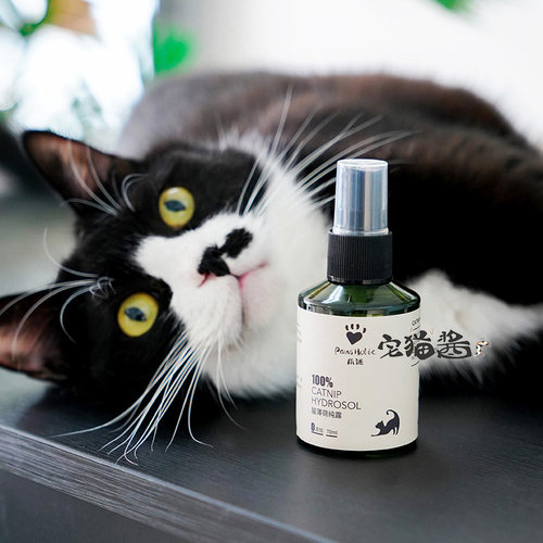爪迷猫薄荷纯露舒缓情绪喷雾