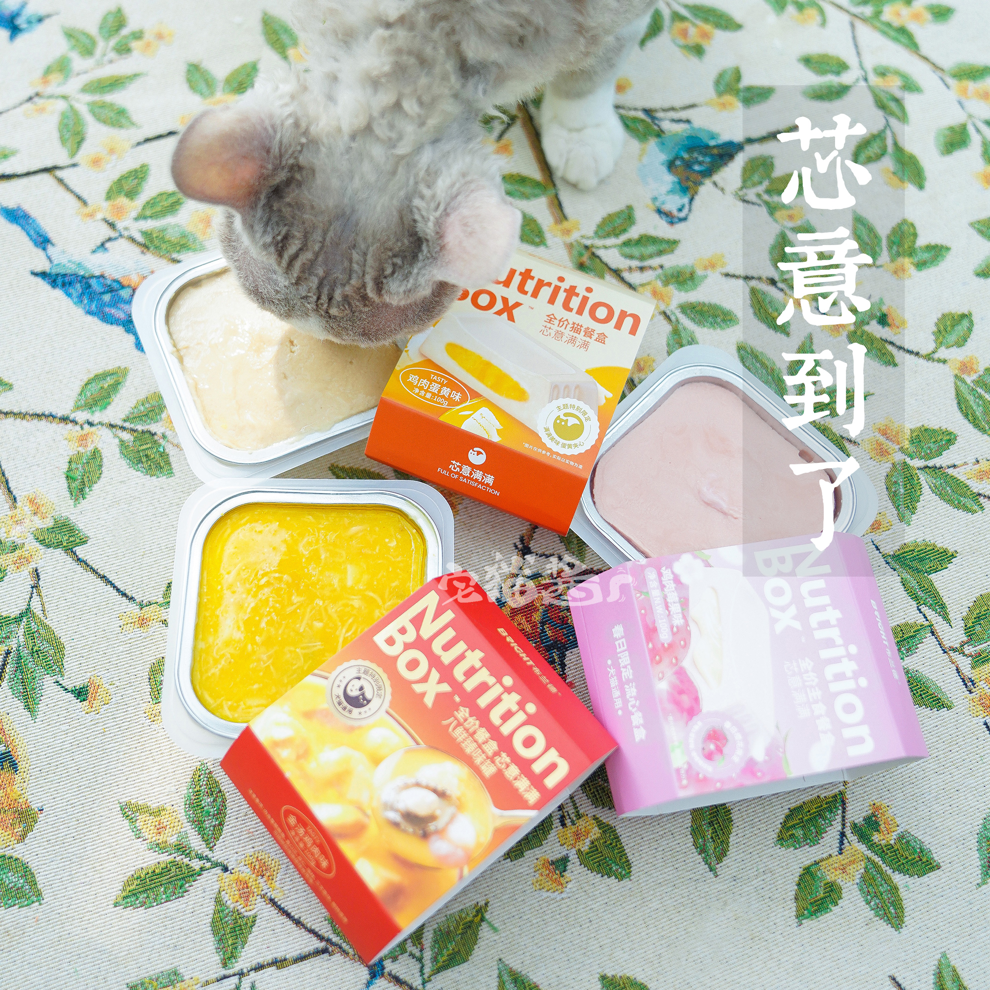 布兰德芯意满满全价猫主食级餐盒