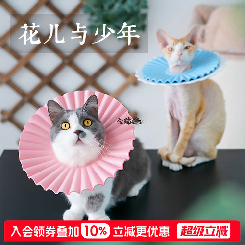 宅猫酱宠物猫咪项圈防舔咬绝育