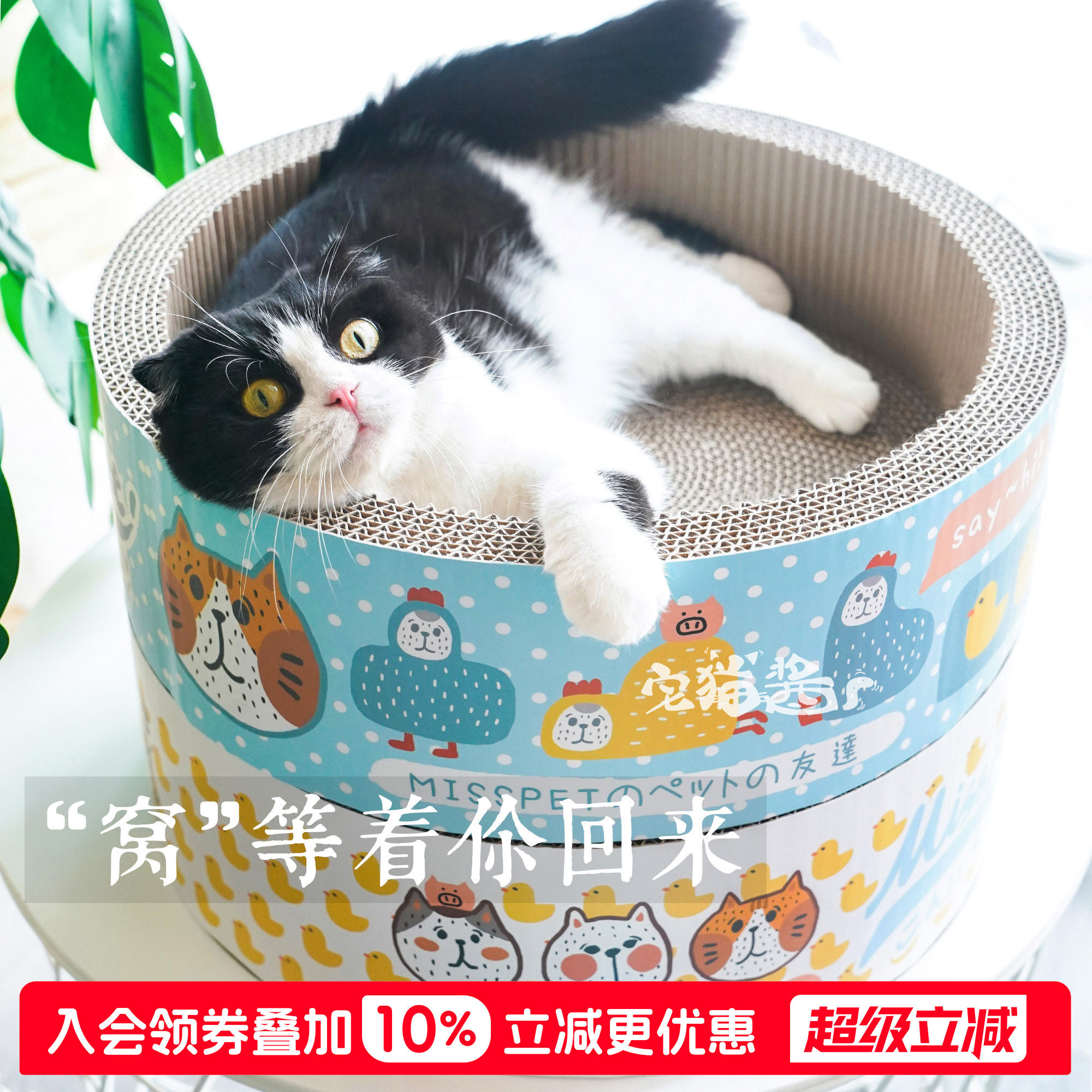 宅猫酱 MISSPET卡通猫抓板圆窝可爱碗型猫窝瓦楞纸猫咪磨爪玩具